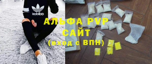индика Алзамай