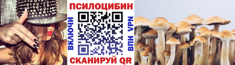 как найти закладки  Балей  Псилоцибиновые грибы MAGIC MUSHROOMS 